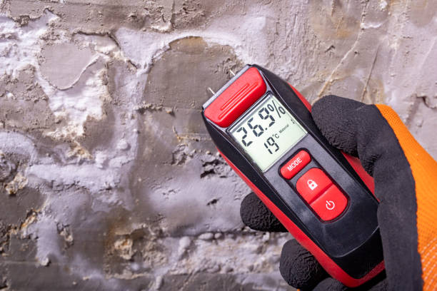 Office Mold Removal Services in Wilson Conococheague, MD