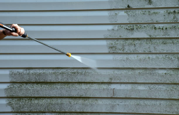 Best Mold Damage Repair  in Wilson Conococheague, MD